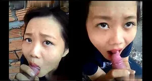 Bồ liếm củ khoải ở vườn sau nhà